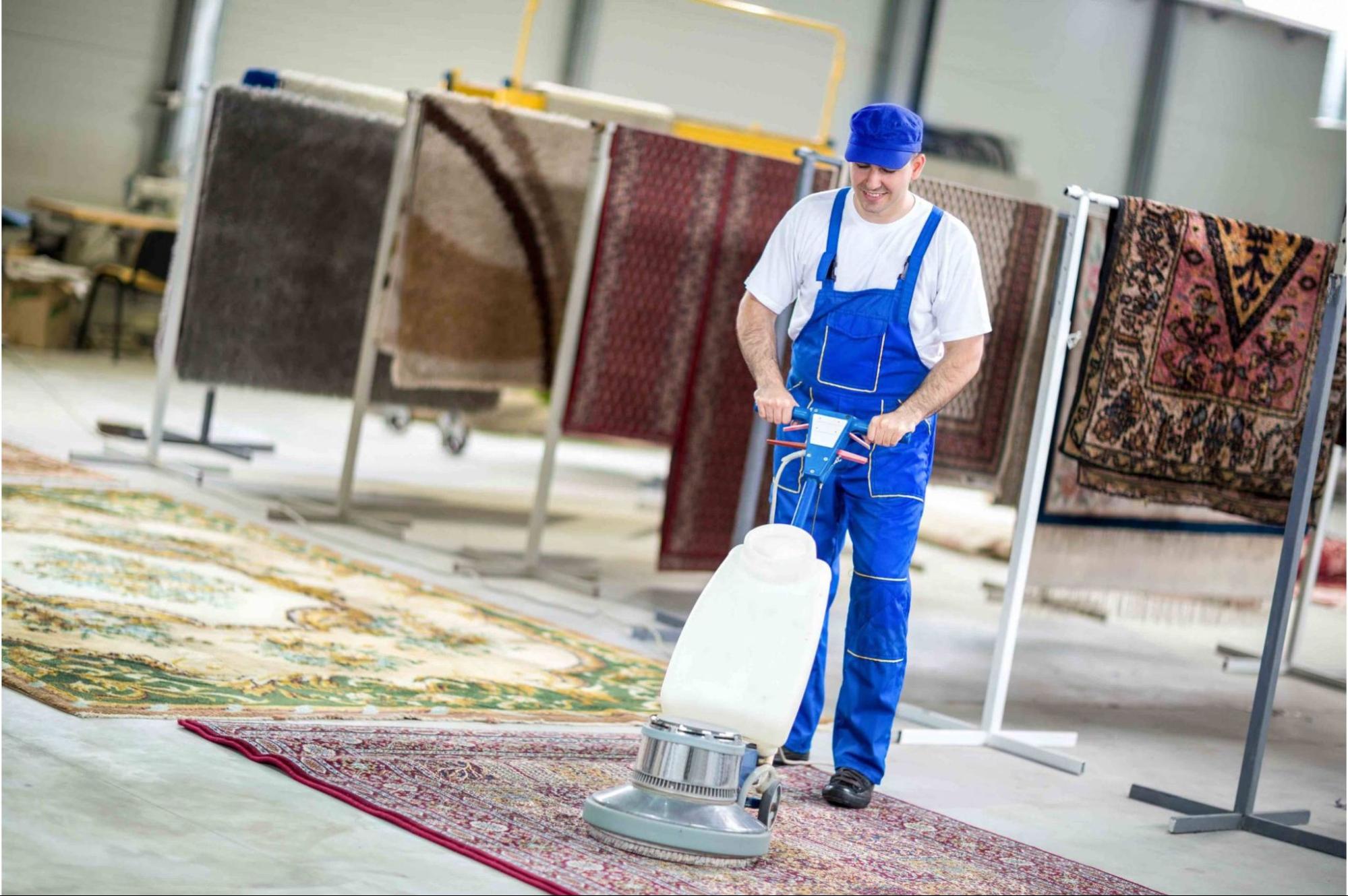 Should You Sanitize and Disinfect Your Carpet?